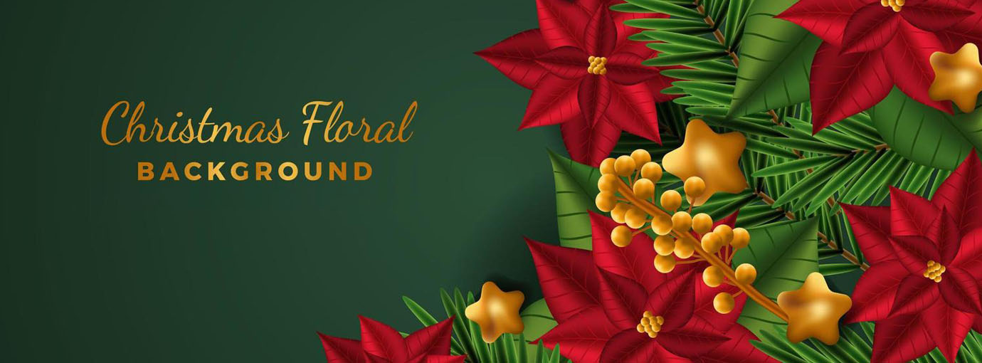 Brooks Shoes Shop -Brooks Shoes Shop 120